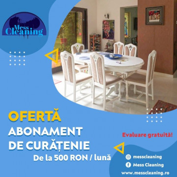 Firma curatenie - Mess Cleaning - Echipa ta de curatenie!